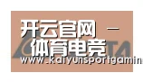 开云官网合作伙伴六