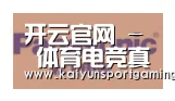 开云官网合作伙伴四