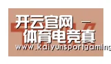 开云官网合作伙伴二
