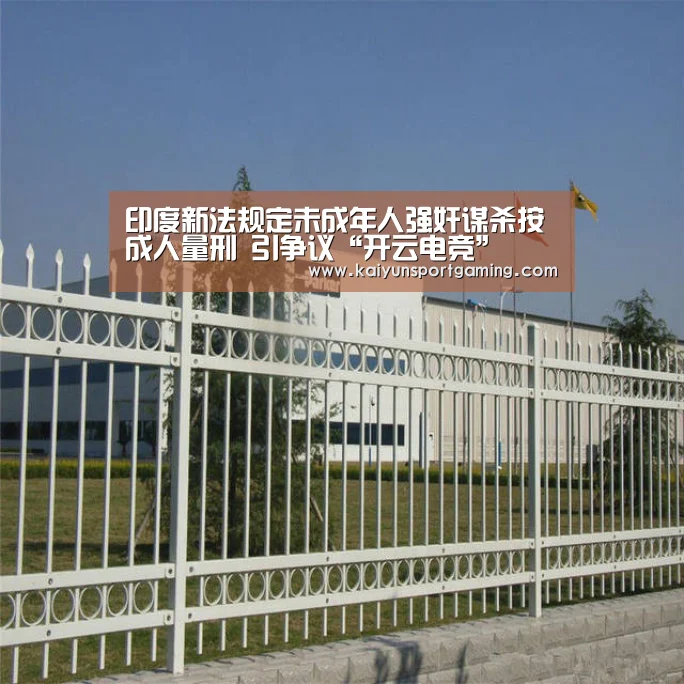 印度新法规定未成年人强奸谋杀按成人量刑 引争议“开云电竞”(图2) 开云娱乐